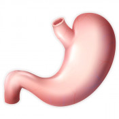 Bolile aparatului digestiv (21)