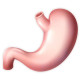 Bolile aparatului digestiv